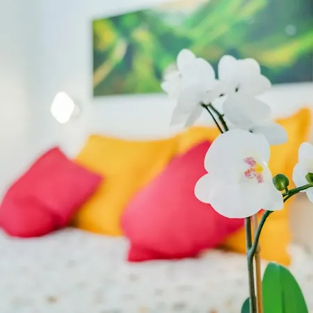 Διαμέρισμα Estudio Tajinaste